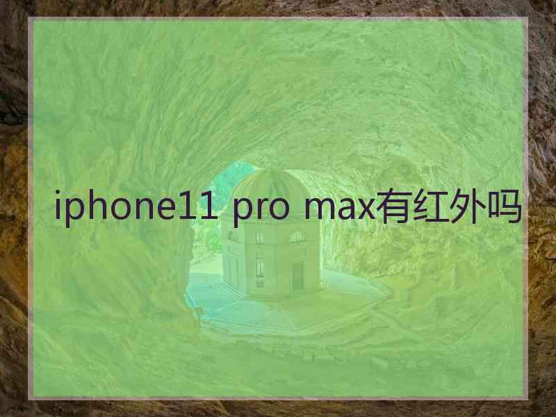 iphone11 pro max有红外吗