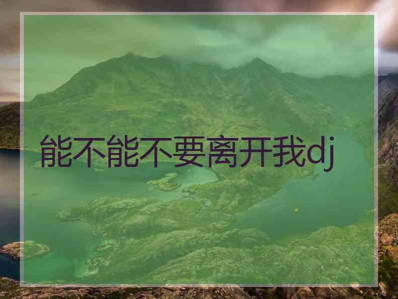 能不能不要离开我dj