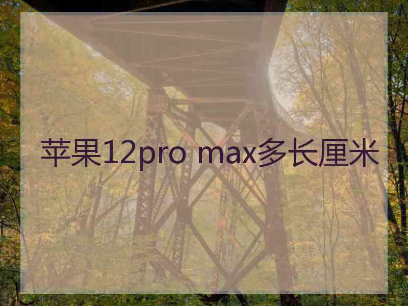 苹果12pro max多长厘米