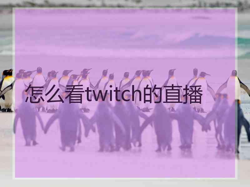 怎么看twitch的直播