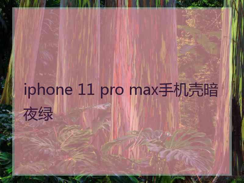 iphone 11 pro max手机壳暗夜绿