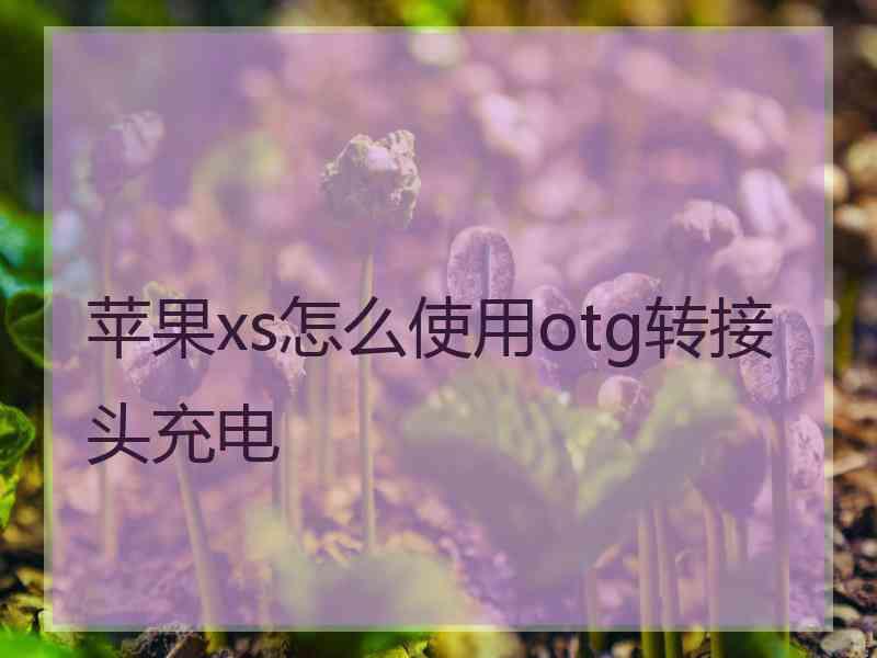 苹果xs怎么使用otg转接头充电