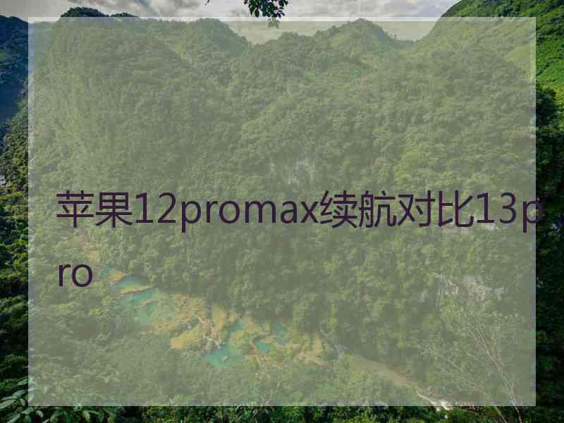 苹果12promax续航对比13pro