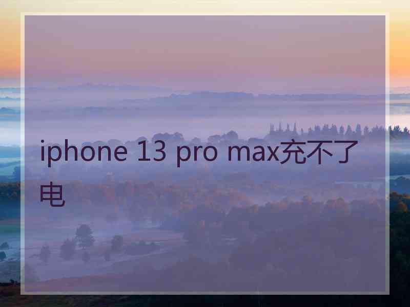 iphone 13 pro max充不了电