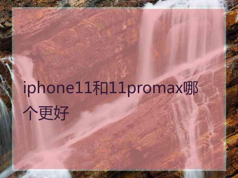 iphone11和11promax哪个更好