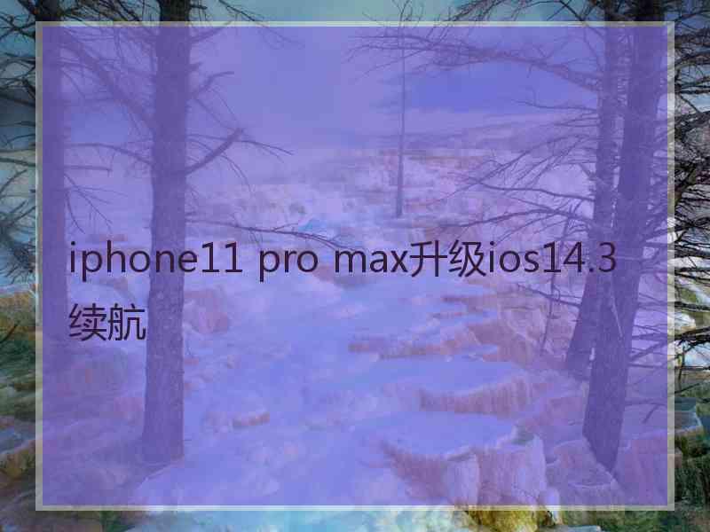 iphone11 pro max升级ios14.3续航