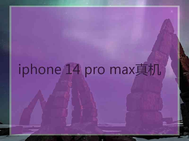 iphone 14 pro max真机