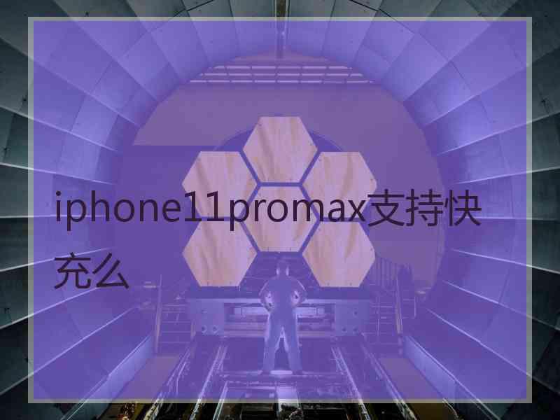 iphone11promax支持快充么