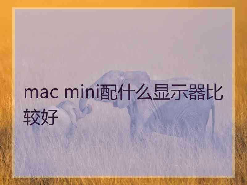 mac mini配什么显示器比较好