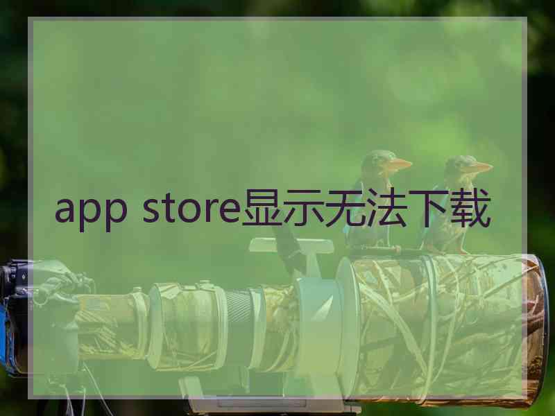 app store显示无法下载