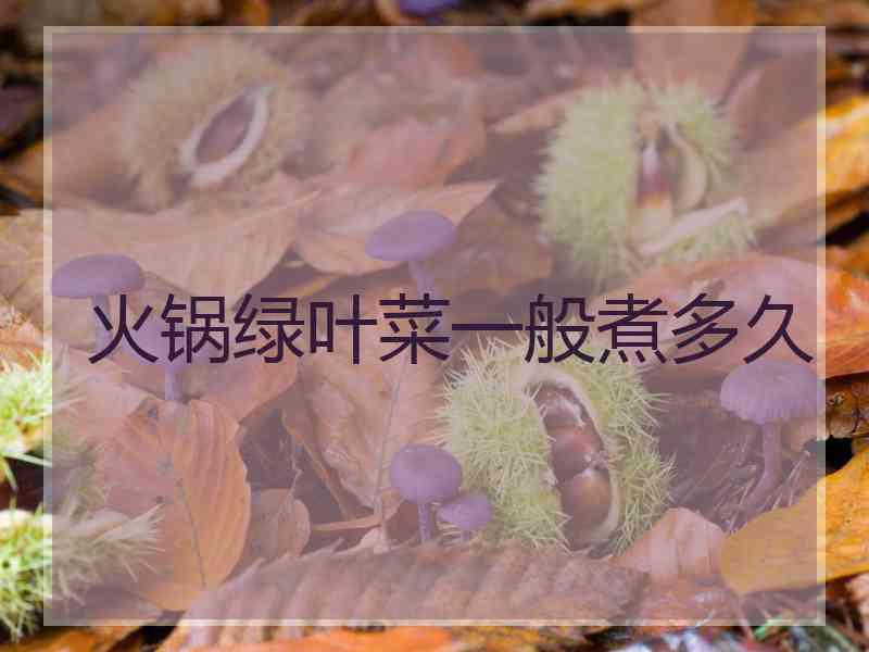 火锅绿叶菜一般煮多久