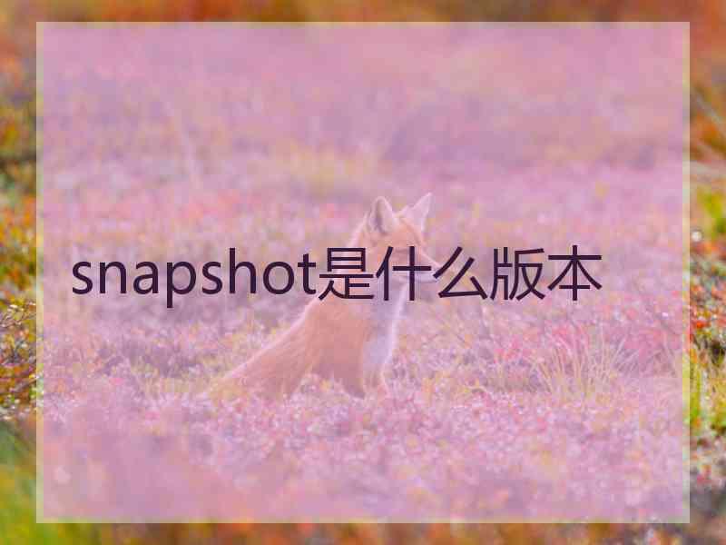 snapshot是什么版本