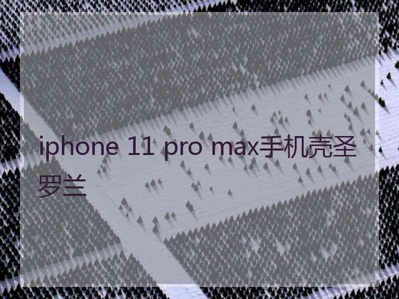 iphone 11 pro max手机壳圣罗兰