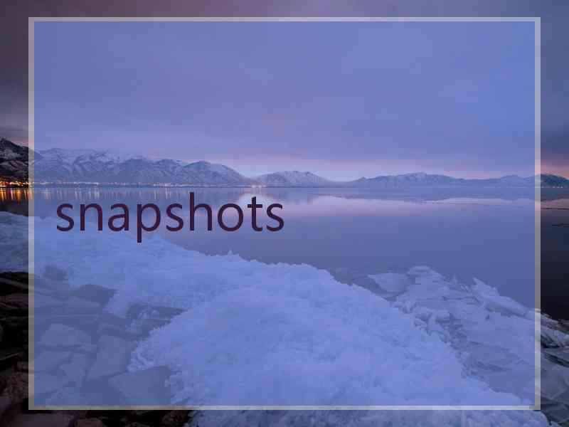 snapshots