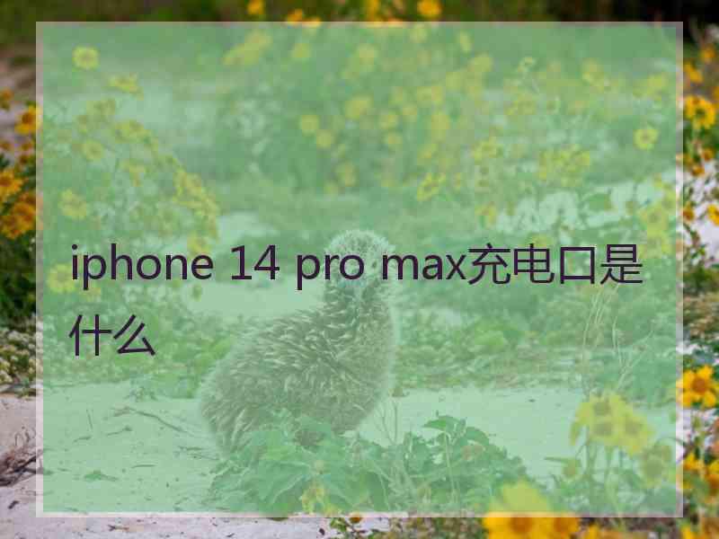 iphone 14 pro max充电口是什么