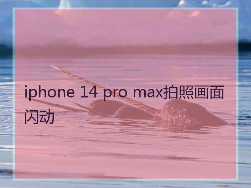 iphone 14 pro max拍照画面闪动