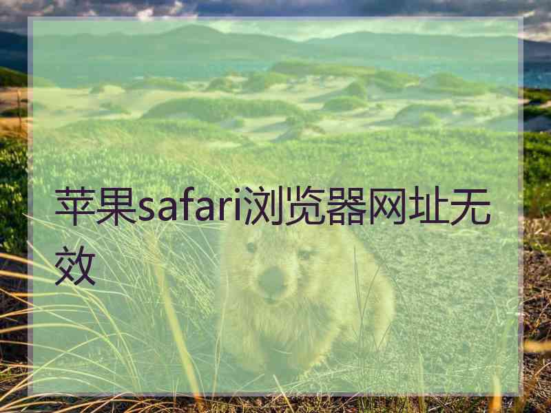 苹果safari浏览器网址无效