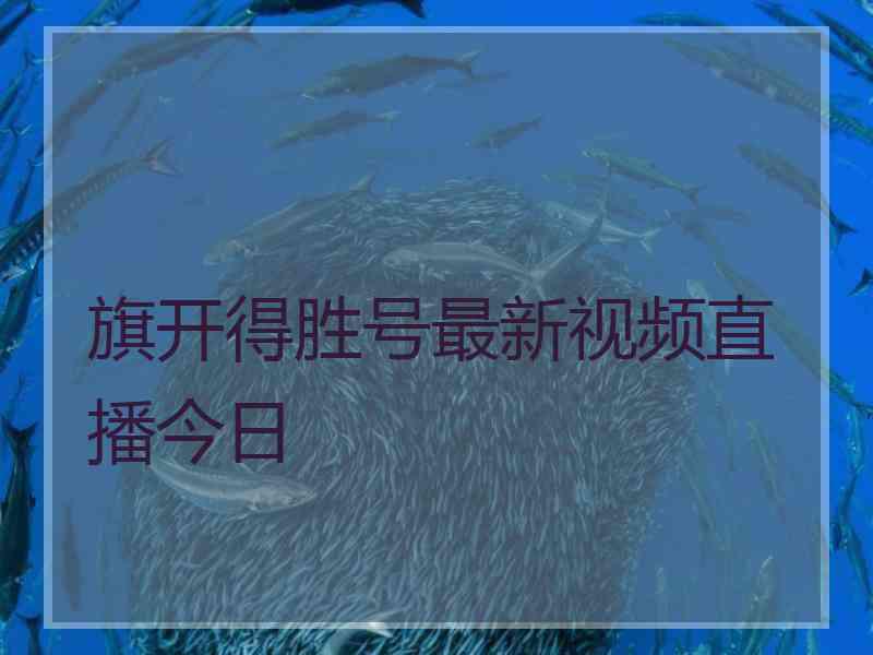 旗开得胜号最新视频直播今日