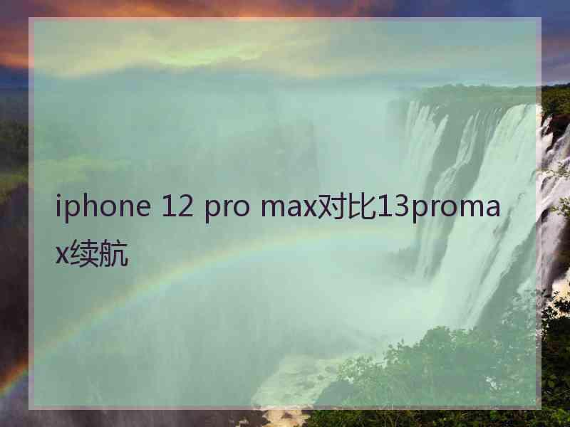 iphone 12 pro max对比13promax续航