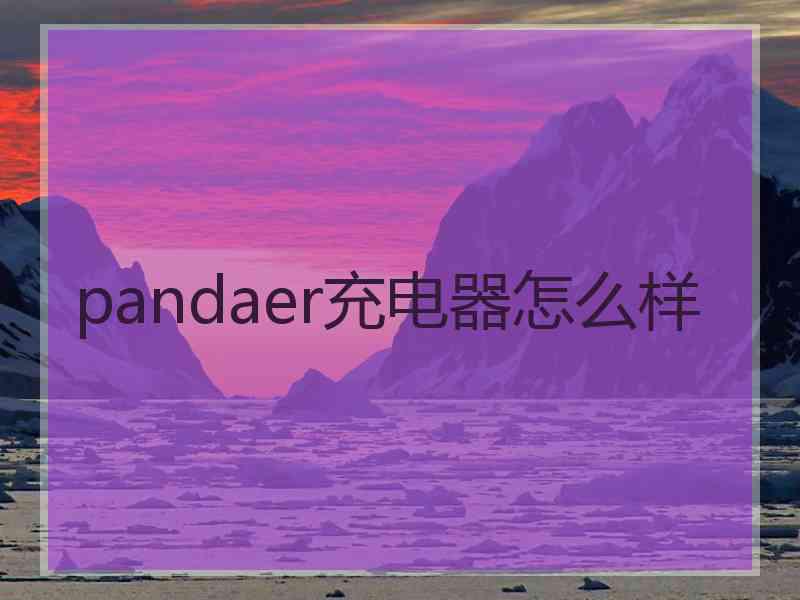 pandaer充电器怎么样