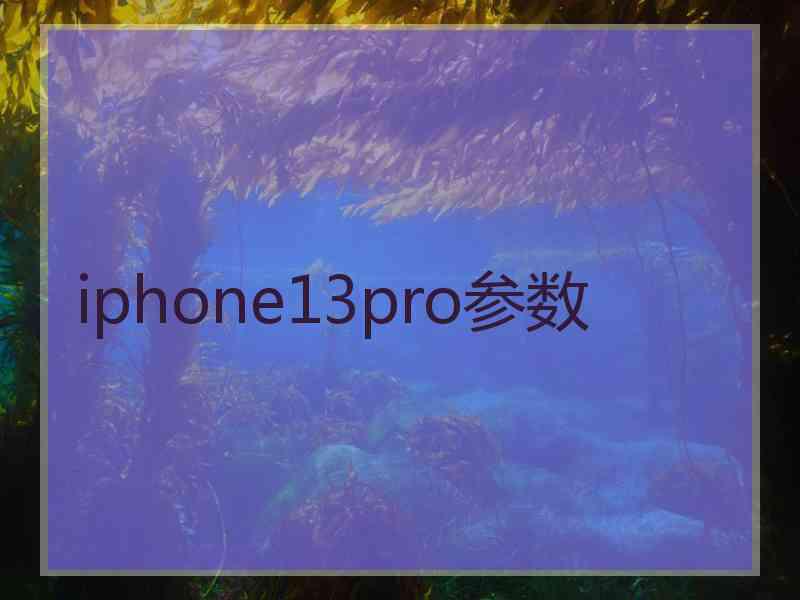 iphone13pro参数