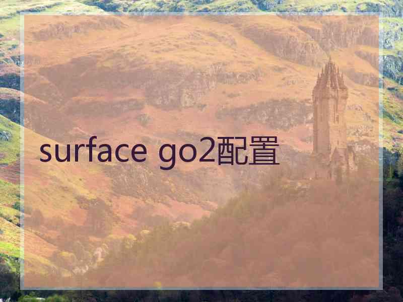 surface go2配置