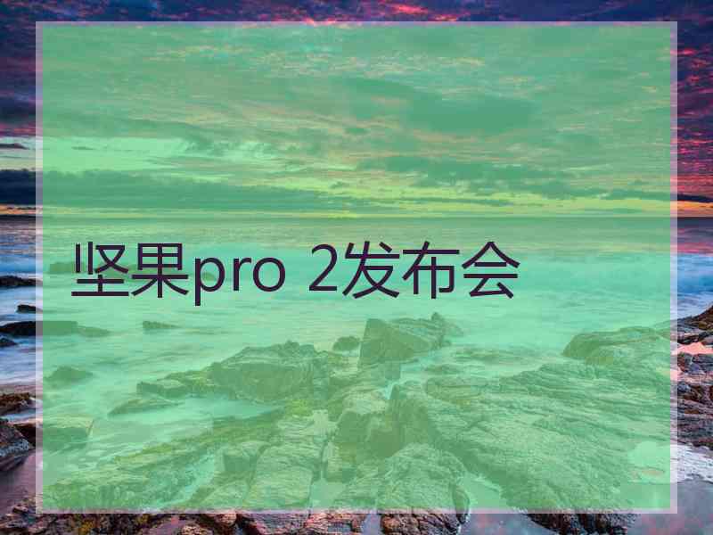 坚果pro 2发布会