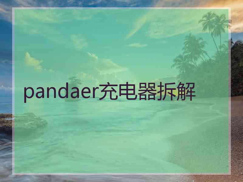 pandaer充电器拆解