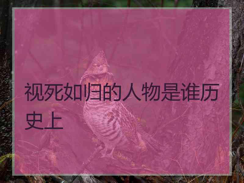 视死如归的人物是谁历史上