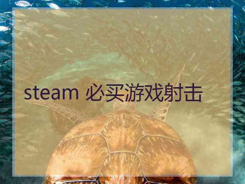 steam 必买游戏射击