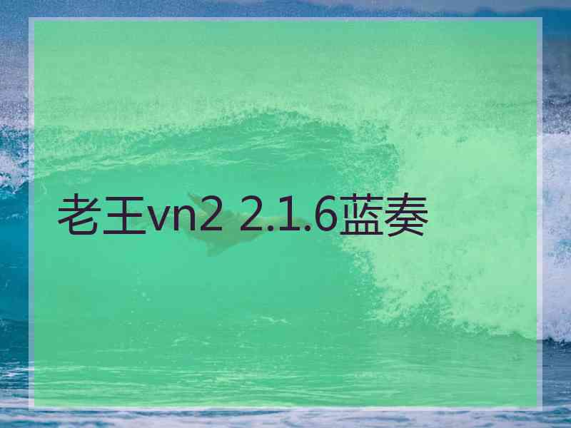 老王vn2 2.1.6蓝奏