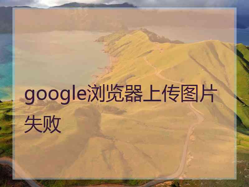 google浏览器上传图片失败