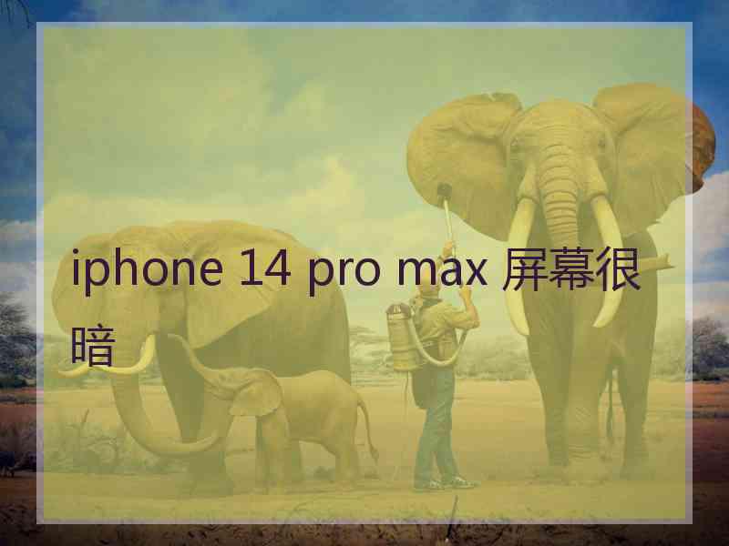 iphone 14 pro max 屏幕很暗