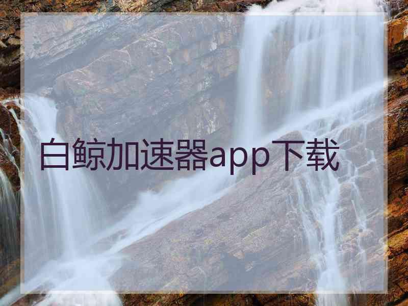 白鲸加速器app下载