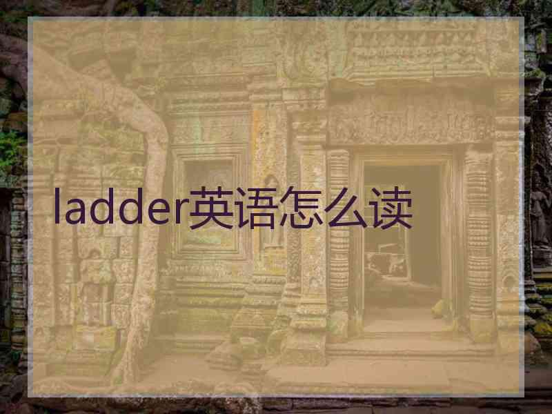 ladder英语怎么读