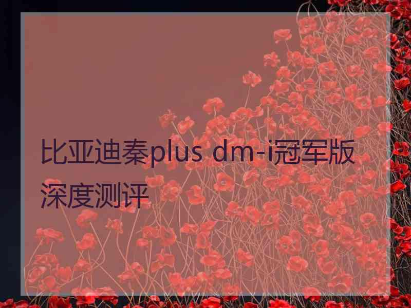 比亚迪秦plus dm-i冠军版深度测评