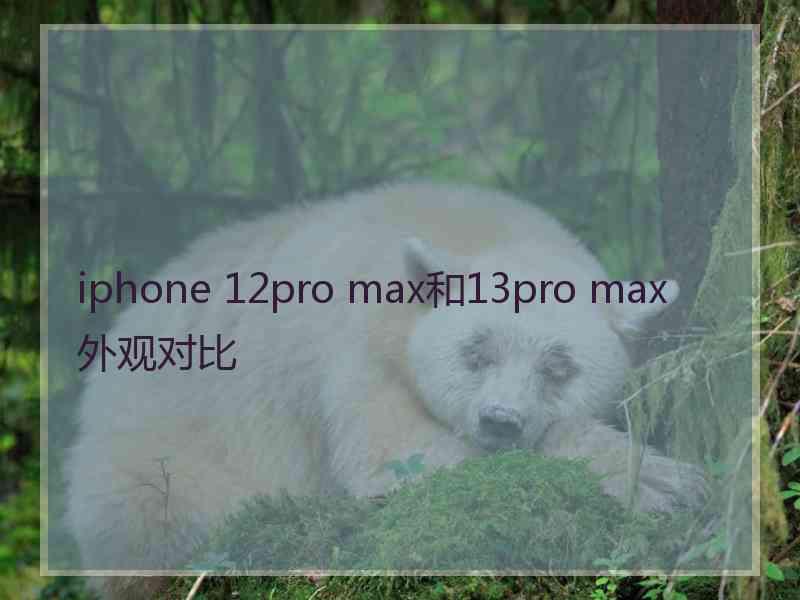 iphone 12pro max和13pro max外观对比