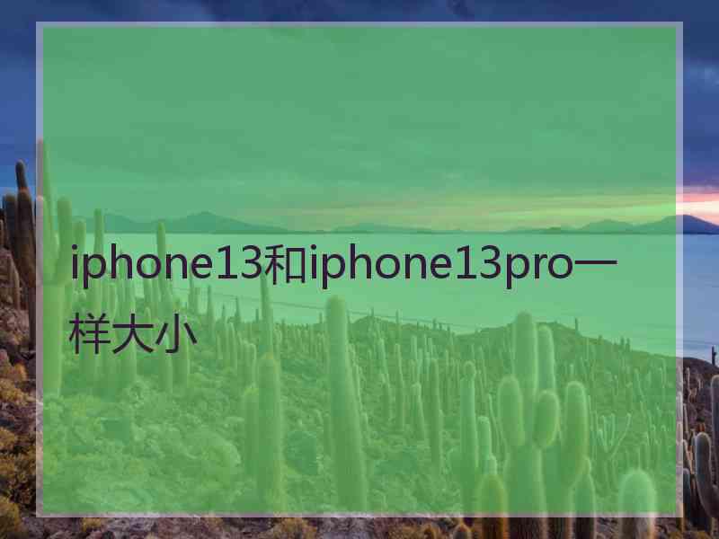 iphone13和iphone13pro一样大小