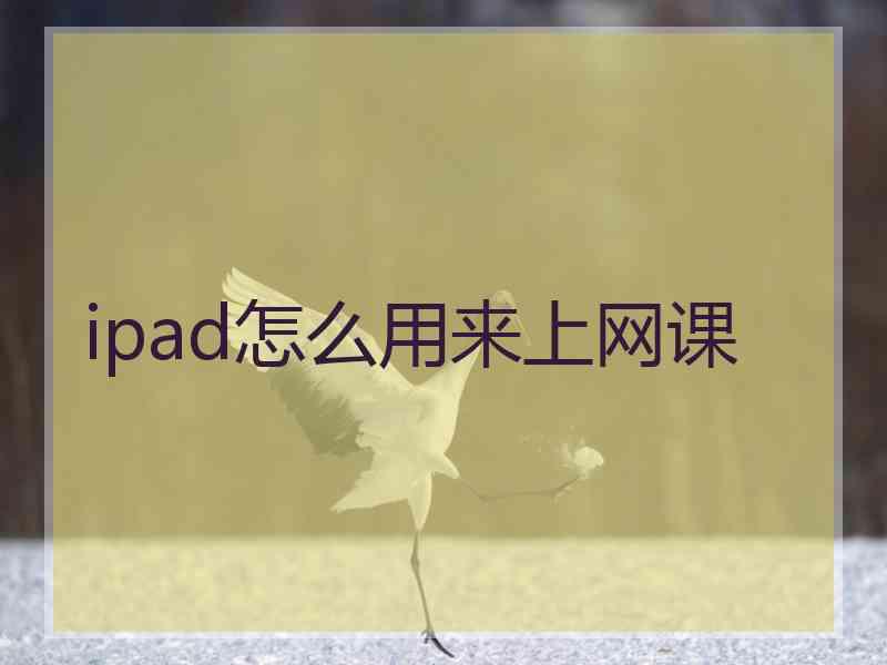 ipad怎么用来上网课