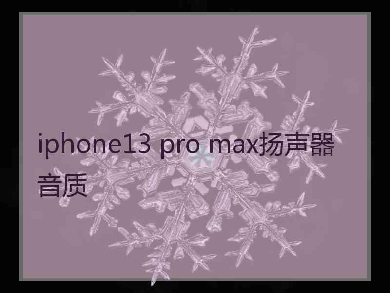 iphone13 pro max扬声器音质