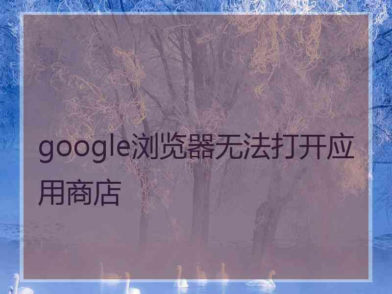 google浏览器无法打开应用商店