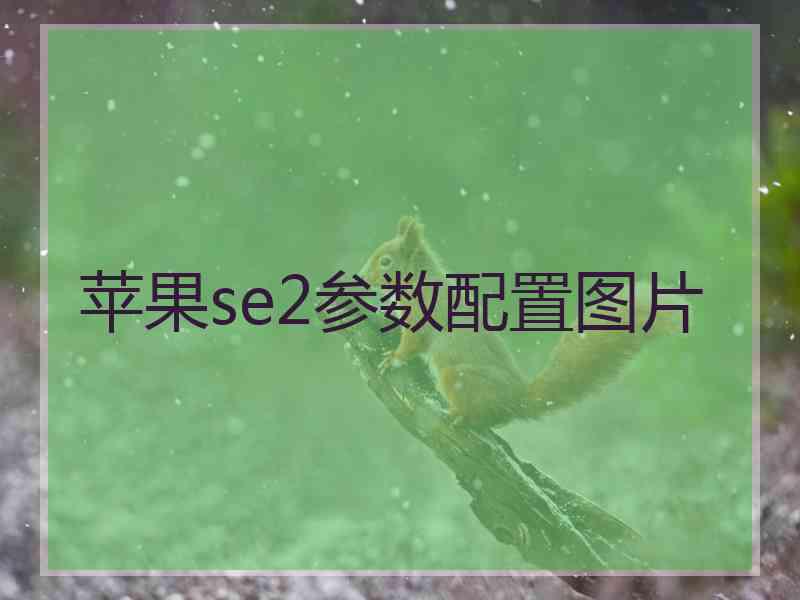 苹果se2参数配置图片