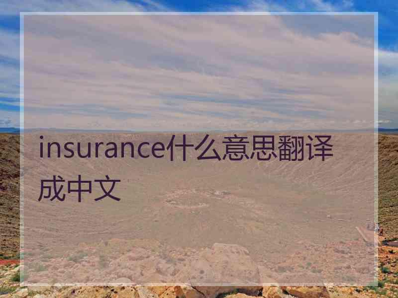 insurance什么意思翻译成中文