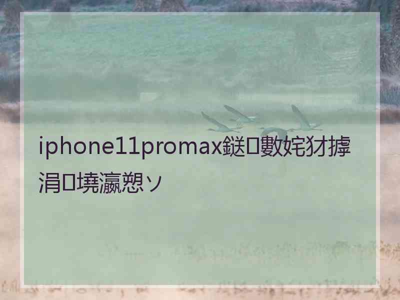 iphone11promax鎹㈢數姹犲摢涓墝瀛愬ソ