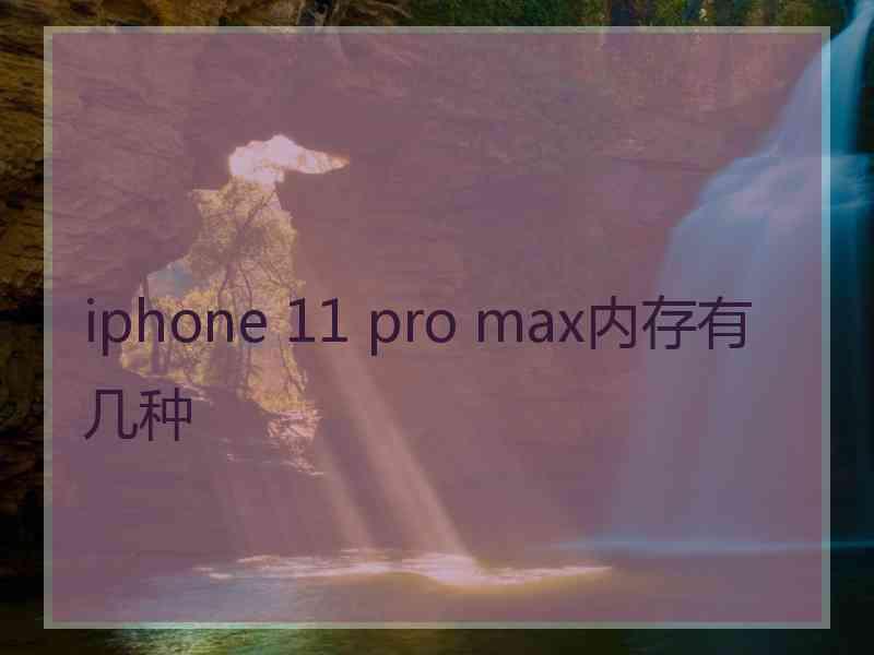 iphone 11 pro max内存有几种