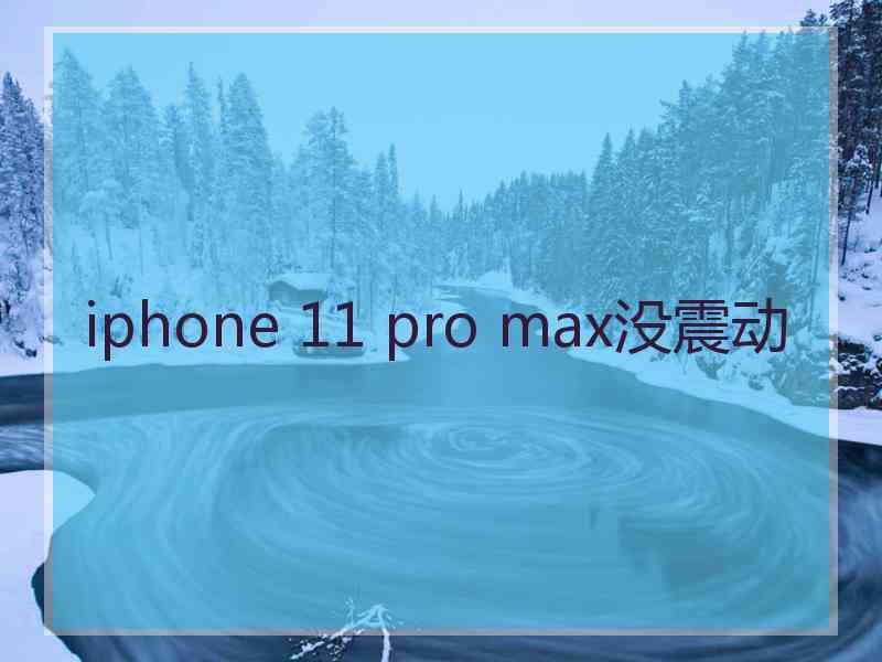 iphone 11 pro max没震动