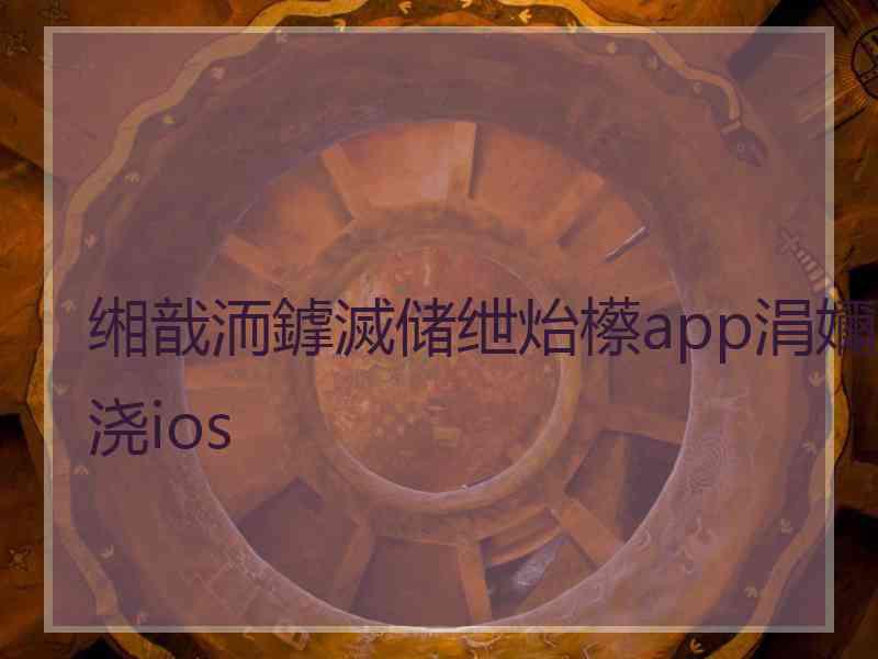 缃戠洏鎼滅储绁炲櫒app涓嬭浇ios