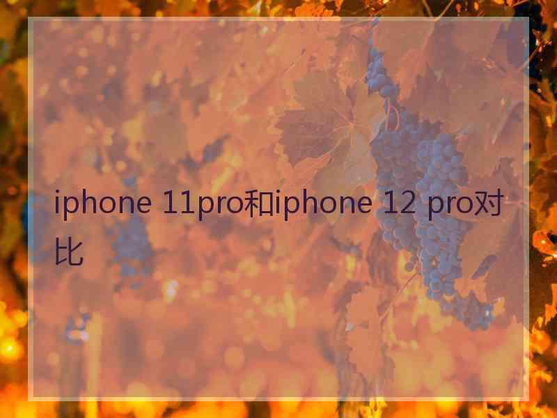 iphone 11pro和iphone 12 pro对比