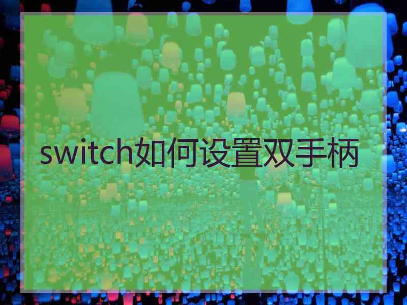 switch如何设置双手柄