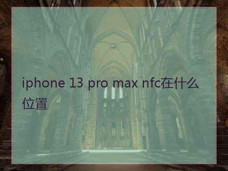 iphone 13 pro max nfc在什么位置